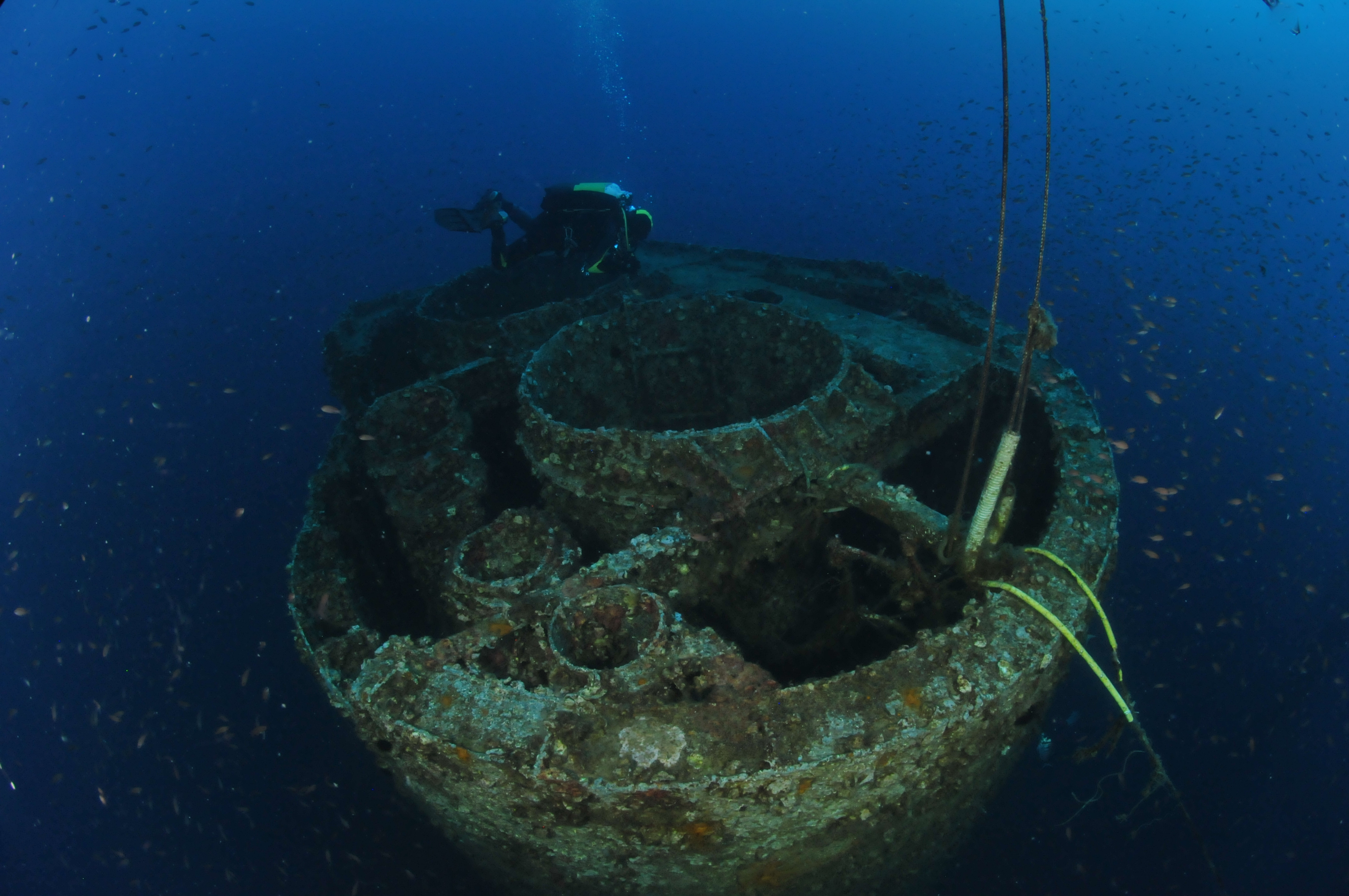 haven fumaiolo